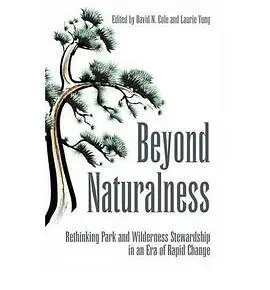 beyondnaturalness短评