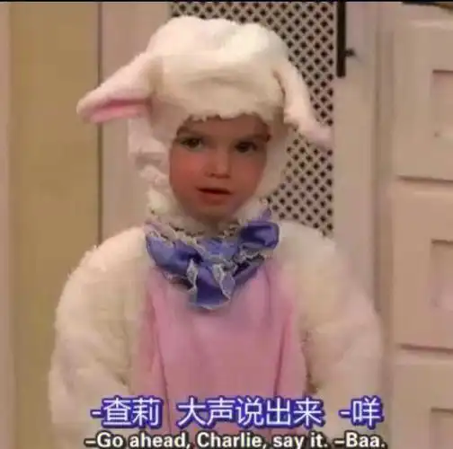 查莉成长日记口语笔记打卡🥳