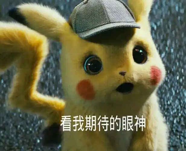 看我期待的眼神