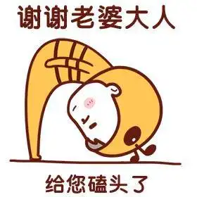 谢谢老婆大人,给你磕头了