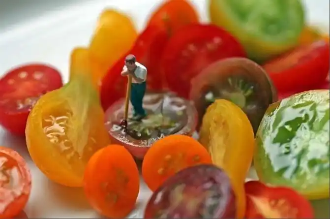 摄影师christopher boffoli的创意摄影,扑捉到了一个曼妙的微观世界.