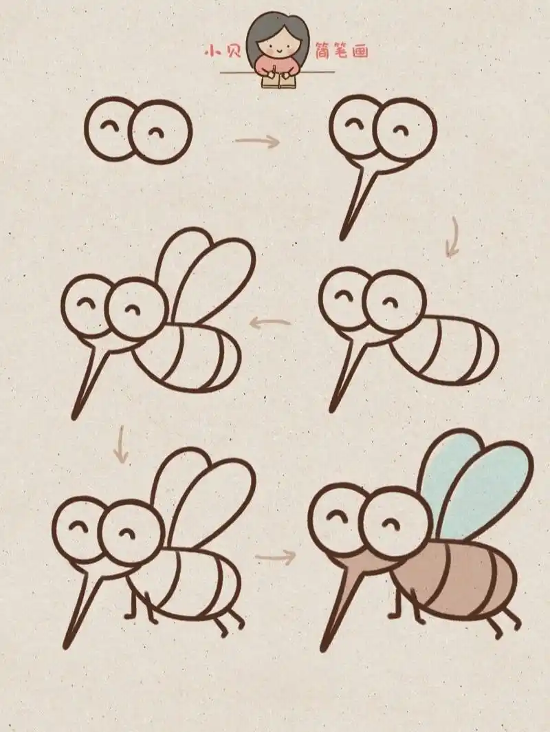 小贝简笔画-蚊子03 蚊子冷知识 03蚊子这种令人心烦的小东西,从