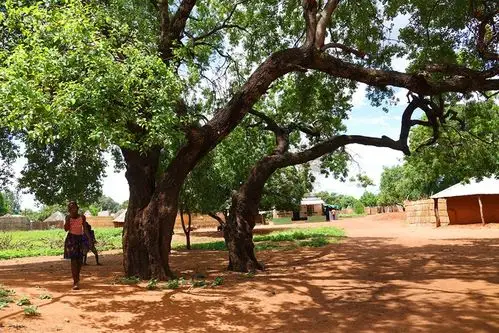 非洲四国行之赞比亚景观