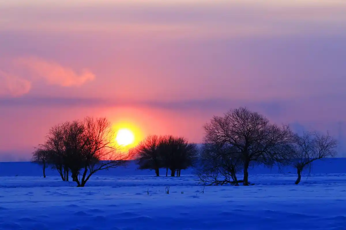 额尔古纳:额尔古纳位于内蒙古大兴安岭西北麓,这里的冬季雪景如画
