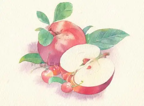 水彩画水果系列之苹果