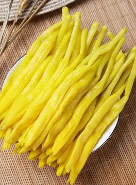商用清水黄花菜新鲜凉拌菜盐水笋丝