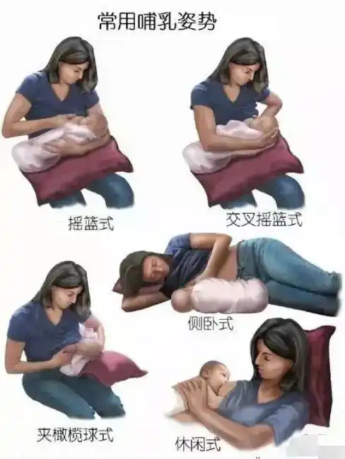 刚开始母乳的注意要点: ① 妈妈要尽可能多和宝宝在一起,对宝宝饥饿的