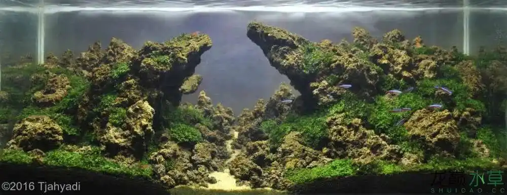 各种火山石造景_腾讯新闻