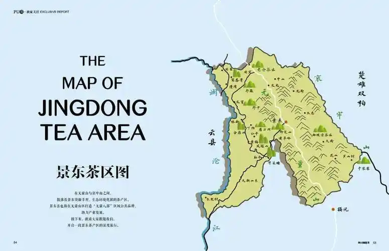 12月刊丨来喝一杯"银生茶"_景东茶_普洱茶_茶树