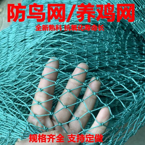 农业家禽养殖网尼龙线防鸟网大棚果园鱼塘果树防鸟天网户外养鸡网