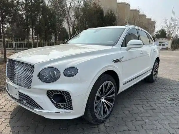 体验极速的同时宾利添越感受顶尖豪华舒适性