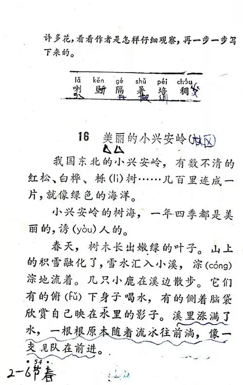 美丽的小兴安岭丨那些年我们一起读过的课文
