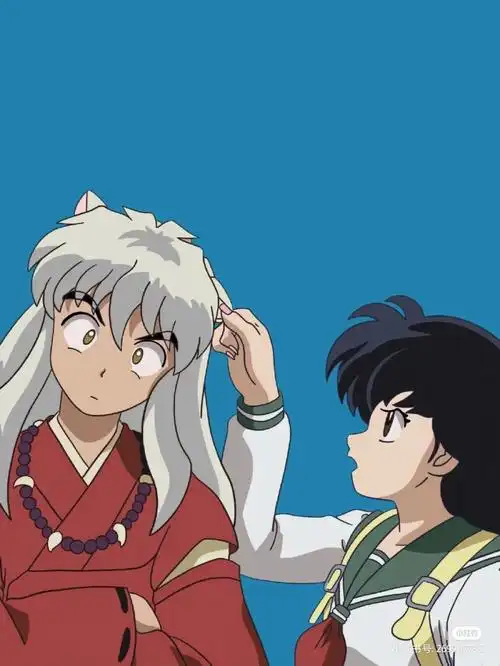 磕犬夜叉里的cp