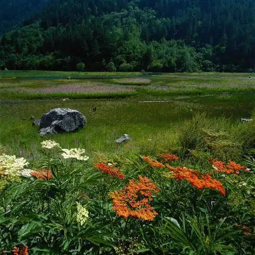 高清真实风景微信头像,太美我我忍住制作分享出来_相关_整理_标题