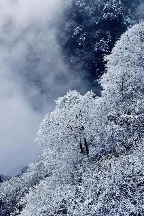 巴山大峡谷的第一场雪