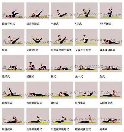 【转载】瑜伽体位招式大全