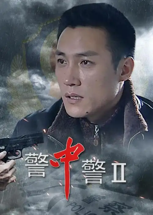 警中警电视剧