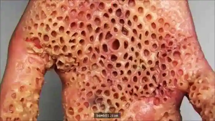 20个你一定要忍住好奇心不要去google搜寻的超关键字