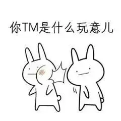 你tm是什么玩意儿