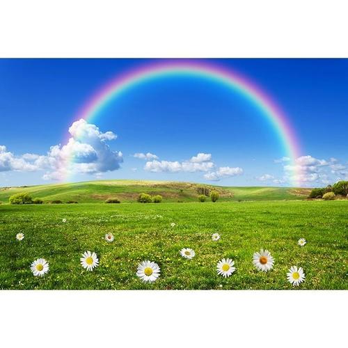 蓝天白云彩虹自然绿色风景贴画树木花草草原草地客厅卧室海报画