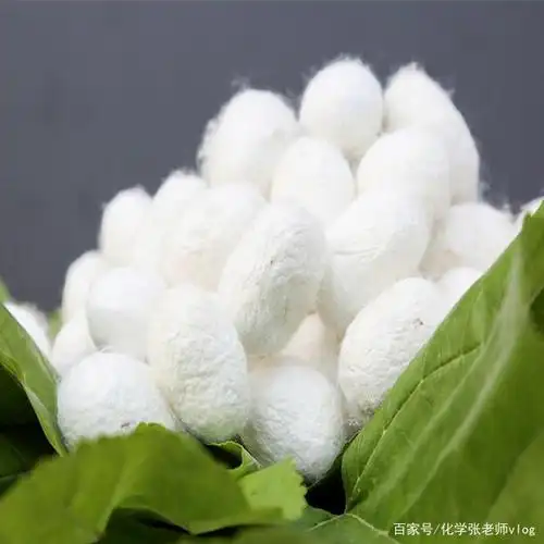 中考化学:什么是天然纤维?什么是合成纤维?