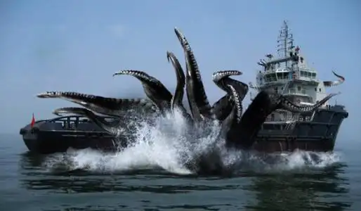 带你了解,一种来自大洋深处的可怕水下生物——巨型章鱼_钓鱼信息