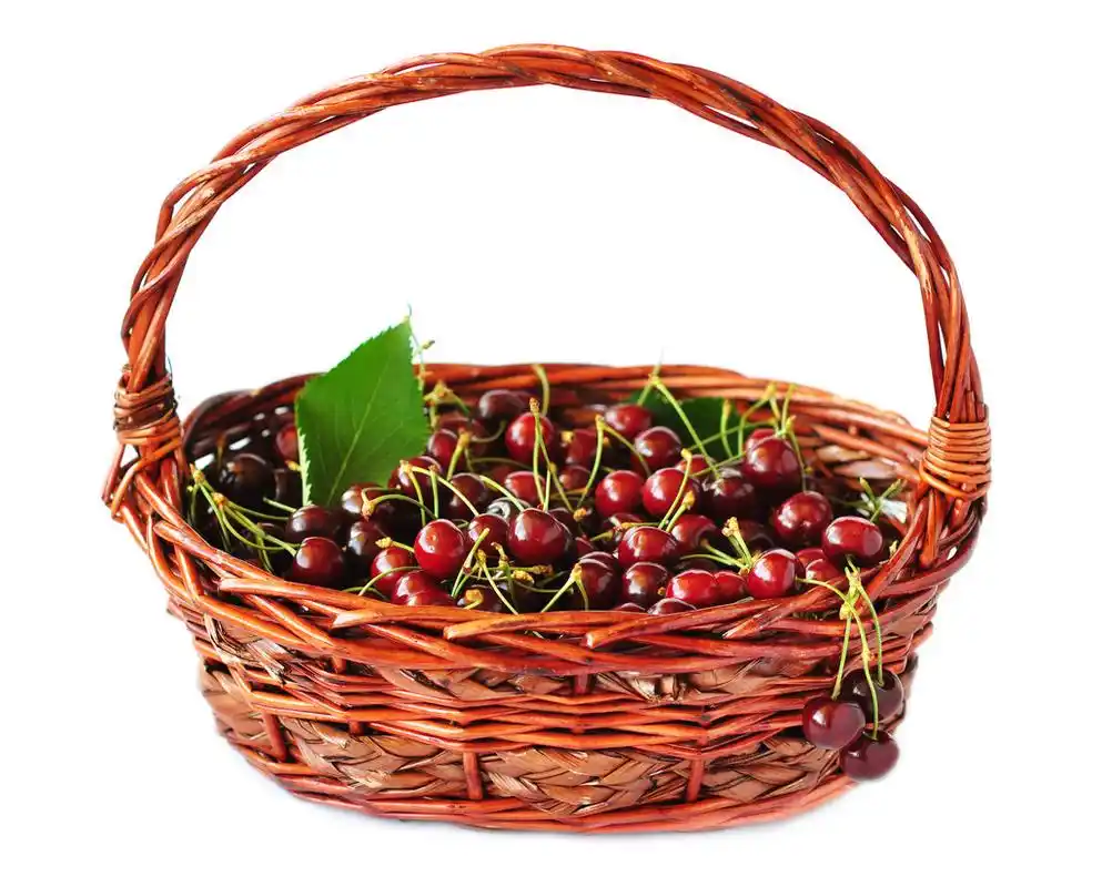 与樱桃的篮子,篮子的樱桃,孤立在白色