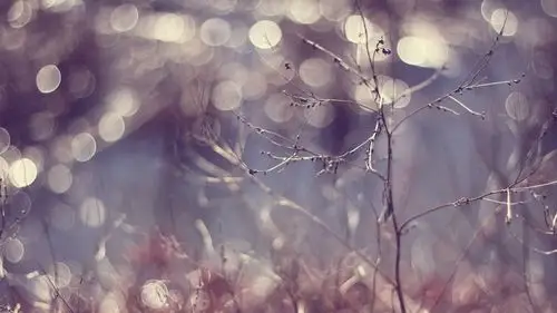 唯美朦胧意境风景图片桌面壁纸