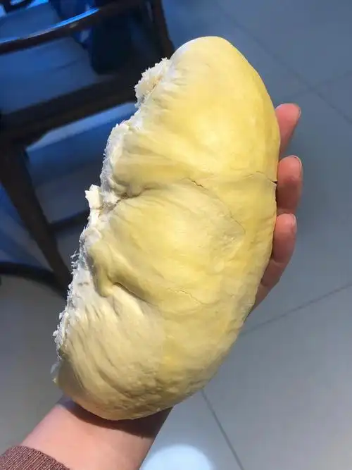 吃榴莲上火,还容易胖,上个月吃了快30只的榴莲,(有一些是巴掌榴莲,两