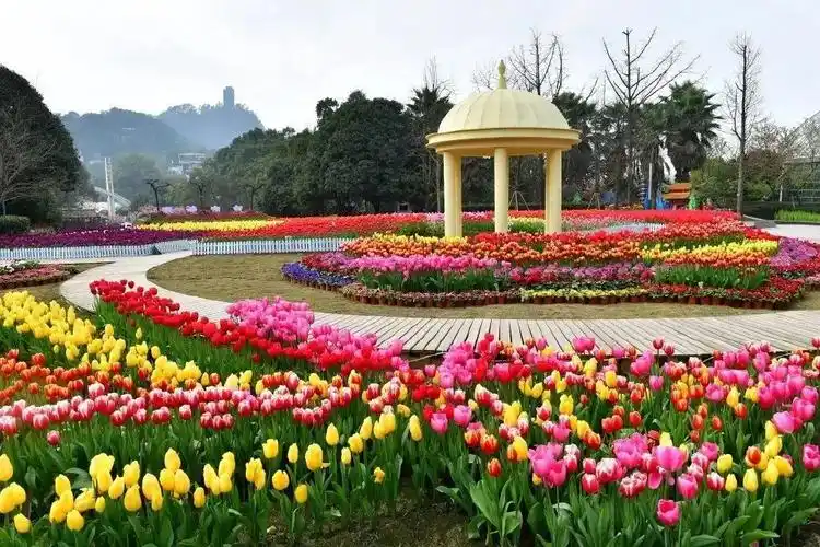 2024重庆南山植物园介绍,开放时间,门票优惠政策