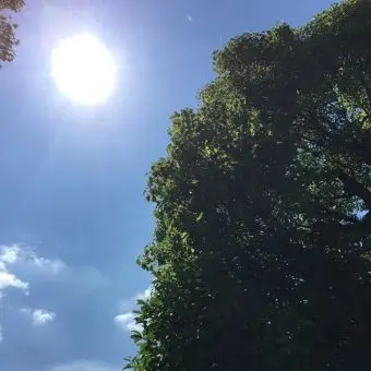 免费照片:天照 夏季高潮 夏天 圣桑 天空和太阳 - 1023558 |photoac