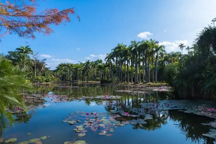 云南的西双版纳