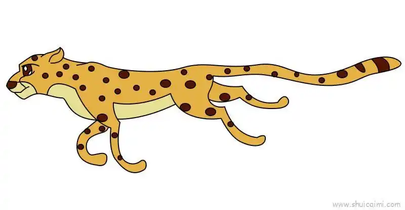豹子儿童画怎么画豹子简笔画顺序