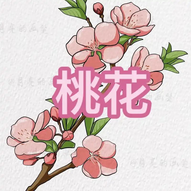 简笔画花卉之桃花.#简笔画教程 打卡第四十二天#桃花#跟着抖 - 抖音