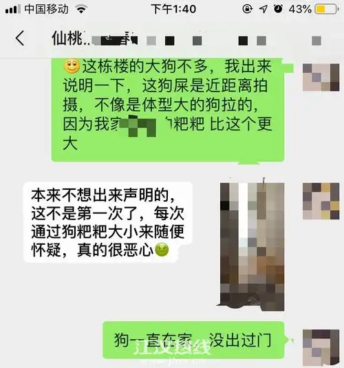 同楼栋两奇葩女人,养狗养出优越感,自己的狗是高贵宠.