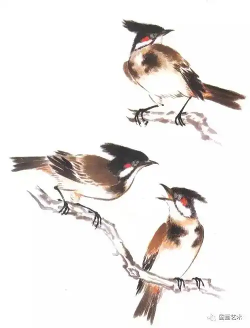 教你写意国画:100只鸟儿素材形态!