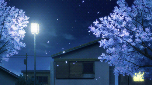 《触 摸》原创 - 空山鸟语 - 月满江南