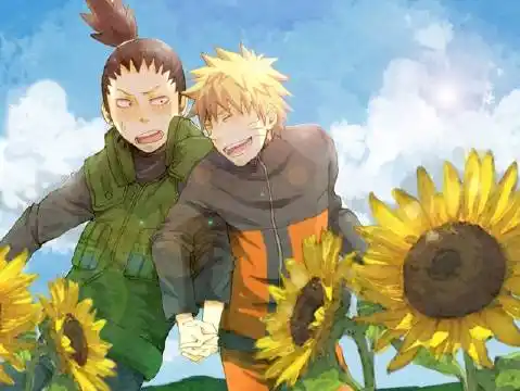 漩涡鸣人##奈良鹿丸#