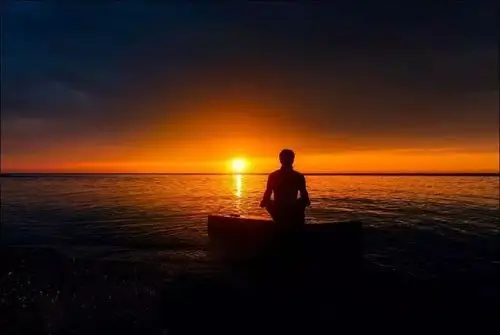 哈佛女博士杨元宁一个人修行越高他就会越单纯越真实