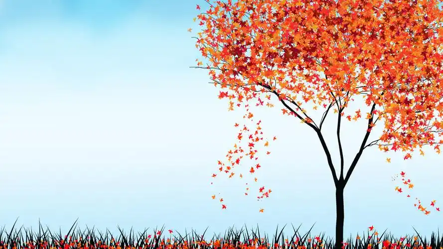 唯美枫树ppt背景图片