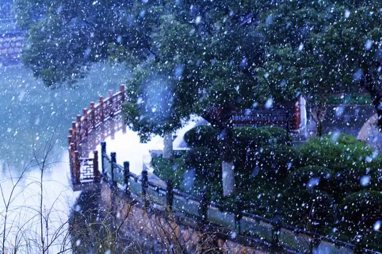 漫天飞舞的雪花