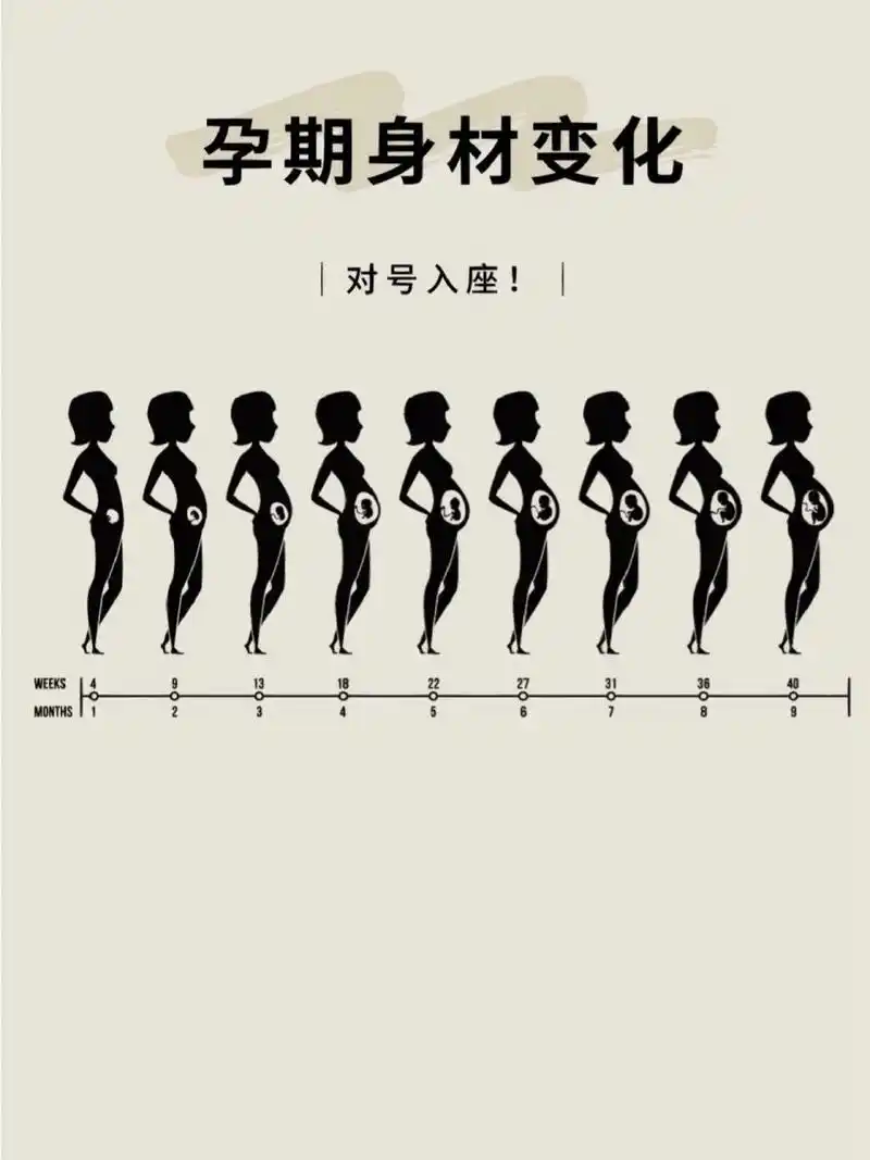 怀孕1-9月肚子变化图 怀孕1-9月肚子变化图 93 怀孕1个月:怀孕一个