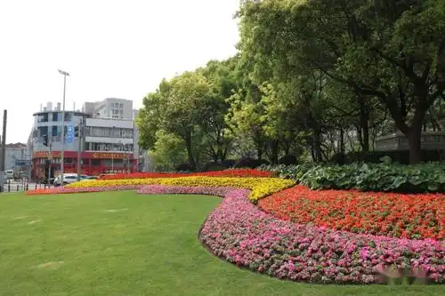 探索申城街头的花坛花境换新装用繁花点亮五一