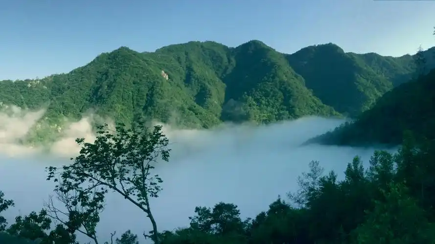 大山小院景色