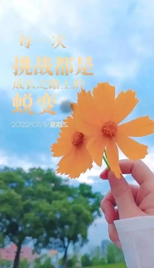 成熟哲理有内涵的文字图片  丰富的过每一天 快乐的看每一天,内涵图片