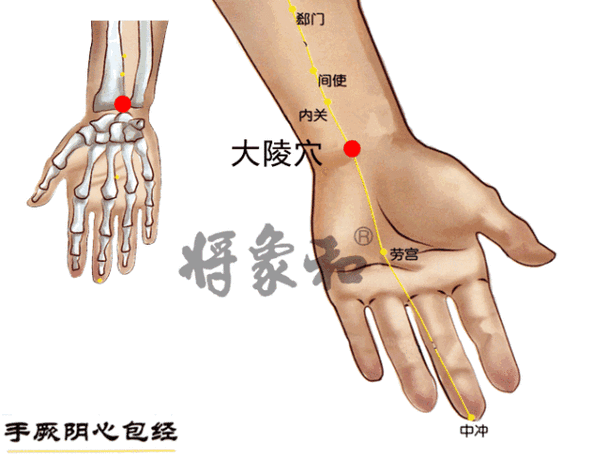 穴位就是中药经络就是大药库