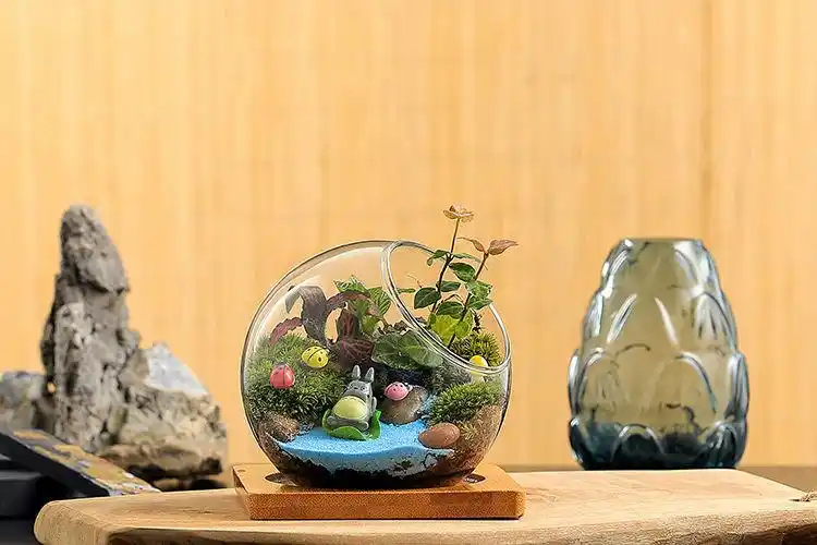 儿童种植阳光房创意苔藓微景观植物多肉盆栽团体活动diy生态玻璃瓶