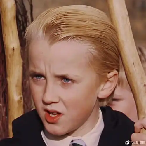 哈利波特超话#德拉科·马尔福#魔法石的拽哥头像自截自修|92二改