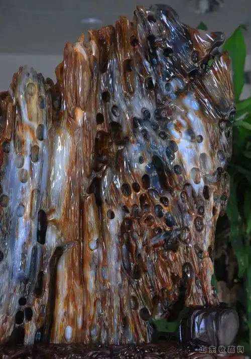 气势磅礴缅甸树化玉收藏摆件 老冰种德伯料 收藏级孤品树化玉