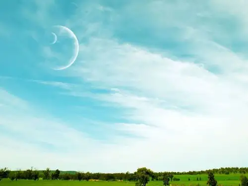 骆驼仙人柱沙漠风景ppt模板